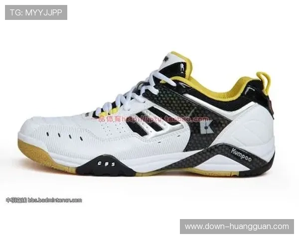 体育皇冠旧版下载安装前必读,安全下载途径与风险防范全方面解析 体育皇冠旧版下载安装前必读,安全下载途径与风险防范全方面解析