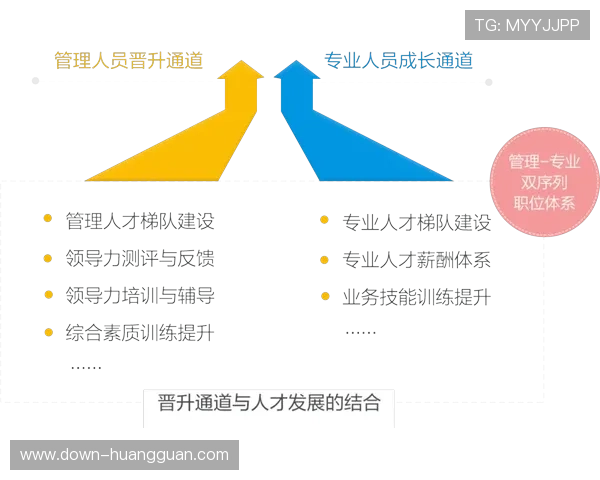 新2管理网官网最新活动及优惠信息，助你提升管理技能与行业竞争力