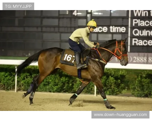 澳门赛马咨询专家为爱马人士提供全面资讯,助您提升赛马竞猜的成功率和体验感